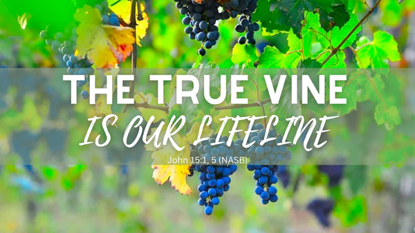 The True Vine Is Our Lifeline