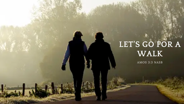 Let's Go For A Walk