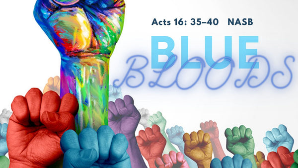 Blue Bloods - Audio Only