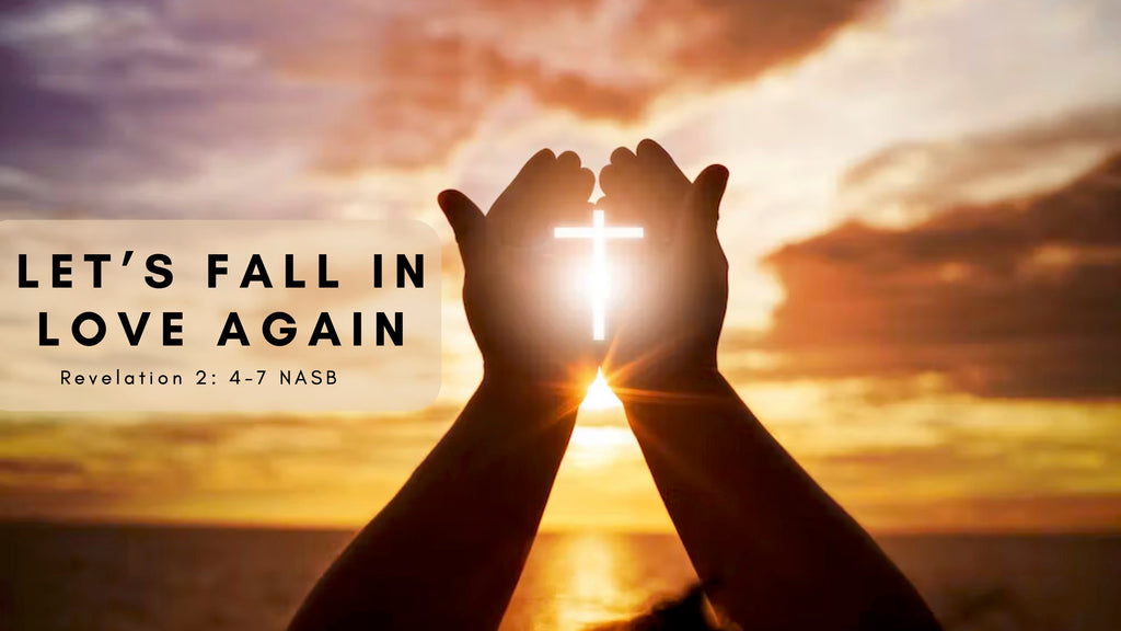 Let's Fall in Love Again