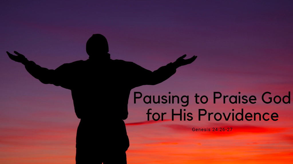 Pausing to Praise God for His Providence - Audio Only